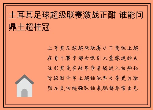 土耳其足球超级联赛激战正酣 谁能问鼎土超桂冠